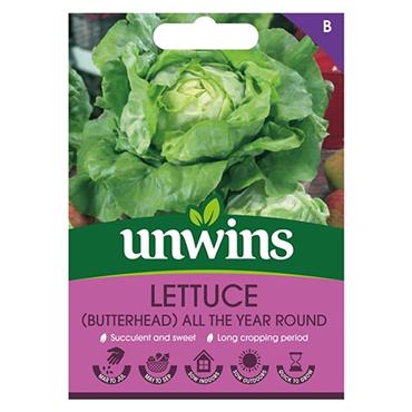 Lettuce Butterhead All The Year Round