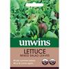 Unwins Lettuce Mixed Salad Leaves Seeds