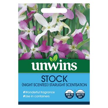 Unwins Night Scented Starlight