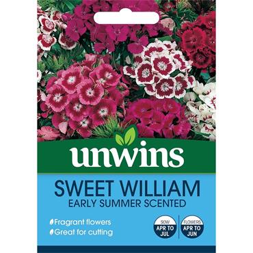 Unwins Early Summer Scented Sweet William
