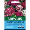 Unwins Early Summer Scented Sweet William