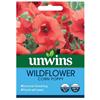 Unwins Wildflower Corn Poppy Seeds