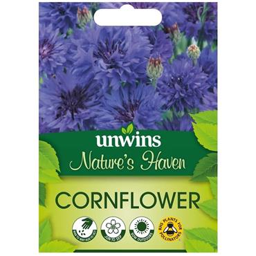 Unwins Wildflower Cornflower