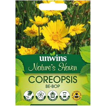 Unwins Coreopsis Bepop