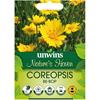 Unwins Coreopsis Bepop