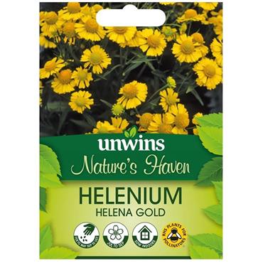 Unwins Helenium Helena Gold