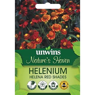 Unwins Helenium Helena Red Shades