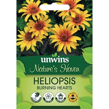 Unwins Heliopsis Burning Hearts