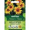 Unwins Heliopsis Burning Hearts
