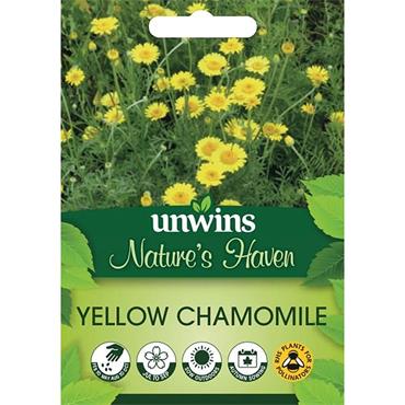 Unwins Yellow Chamomile