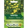 Unwins Yellow Chamomile