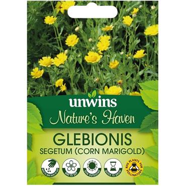 Unwins Corn Marigold