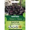 Unwins Salvia Purple Volcano