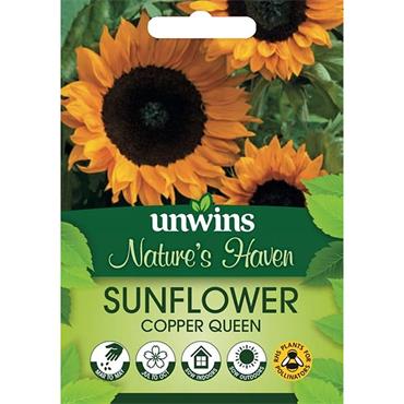 Unwins Sunflower Copper Queen