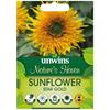 Unwins Sunflower Star Gold