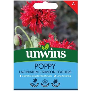 Unwins Poppy Crimsn Feathers
