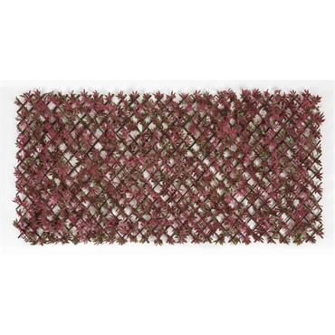 Wonderwall Red Acer 100 X 200cm