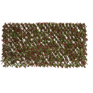 Wonderwall Red Beech Trellis 100 X 200cm