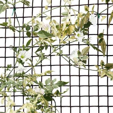 Climbing Plant/Fencing Mesh Green 1mX20mm 5M