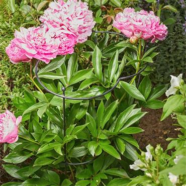 Smart Garden - Gro-Cone 25cm with 55cm Legs