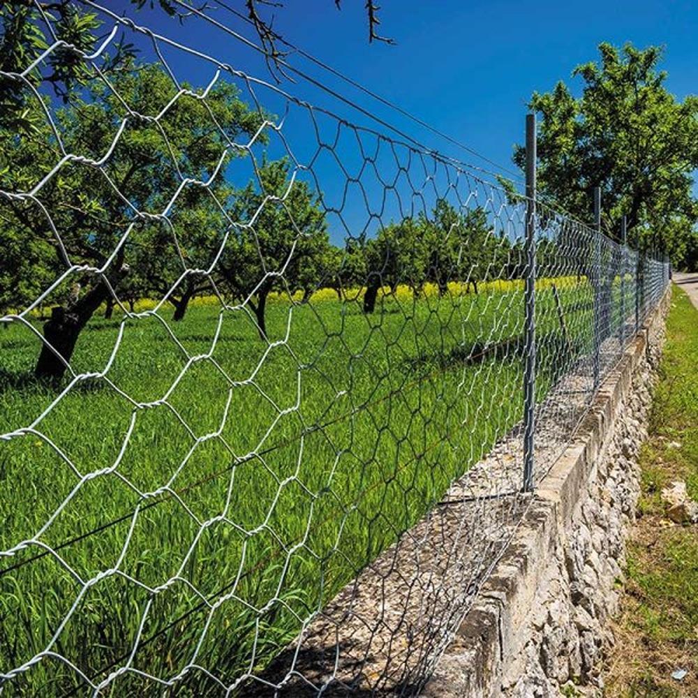 Hexagonal Rope Netting Hexagonal Wire Netting 50mm X 1m X 10m | Topline Bolands | Arklow | Wicklow