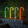 Candy Cane Stakes Large Set of 4 M/Colour