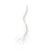 Micro LED BO Durawise Twinkle Lights 8 Func