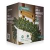 Premier 240 LED Treebrights White
