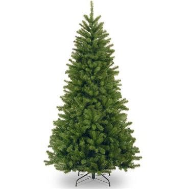 North Valley Spruce Tree 9ft / 2.7m