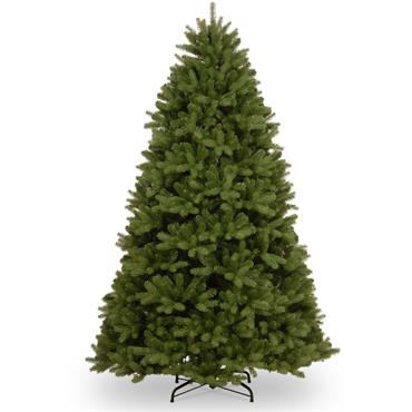 Newberry Spruce Christmas Tree 7.5Ft  2.2Mtr