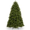 Newberry Spruce Christmas Tree 7.5Ft  2.2Mtr