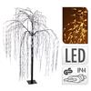 Willow Tree Led Warm White