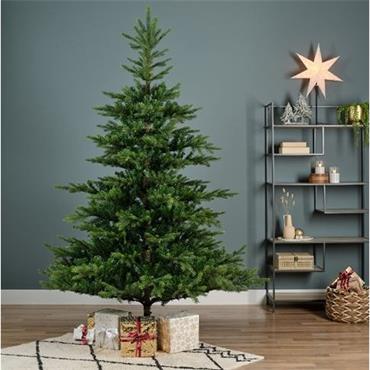 Grandis Fir Christmas Tree 8ft / 2.4m
