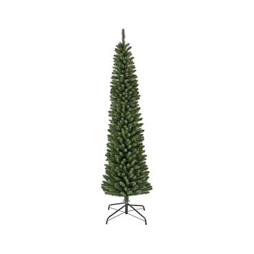 Pencil Pine Tree 8Ft