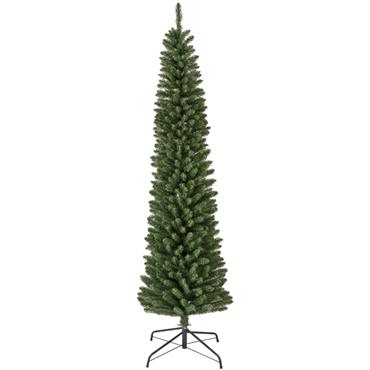Pencil Pine Tree 8Ft