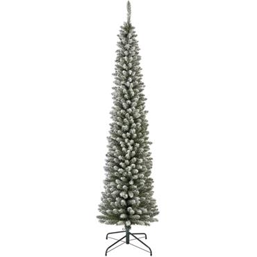 Snowy Pencil Pine Tree 8Ft