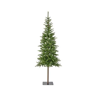 Alpback Fir Green Tree 6ft