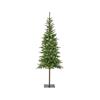Alpback Fir Green Tree 6ft