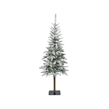 Snowy Alpback Fir Tree 10ft