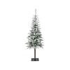Snowy Alpback Fir Tree 10ft