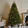 Festive Ben Nevis Pine Pre-Lit Tree 8ft