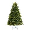 Everlands Freiburg Pine Pre-Lit Tree 7ft