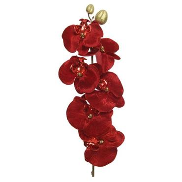 Orchid Spray Red 67cm