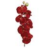 Orchid Spray Red 67cm