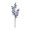 Dusted Seasonal Blueberry Stem
