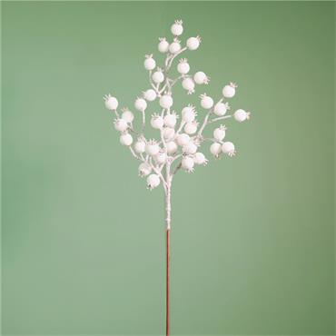 Christmas Sage White Berry Pick