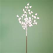 Christmas Sage White Berry Pick