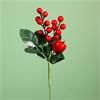 Christmas Red Berry Apple Pick