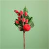 Festive Frosted Berry & Apple Pick