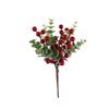 Festive Trendy Red Berry Pick
